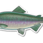 PINK SALMON DECAL (CHROME)