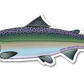 CHUM SALMON DECAL (CHROME)