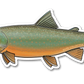 BULL TROUT DECAL