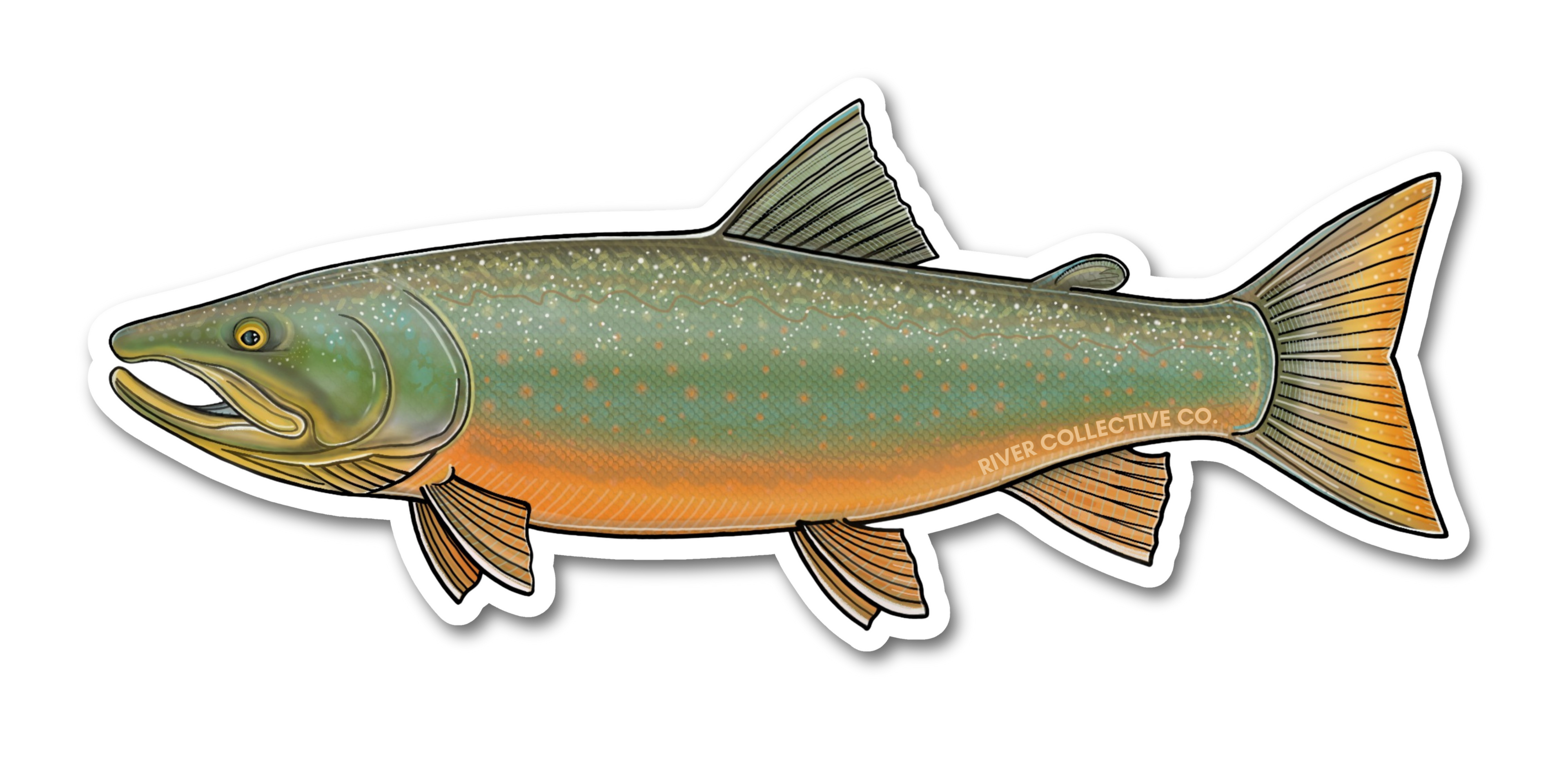 BULL TROUT DECAL
