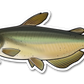 CHANNEL CATFISH DECAL