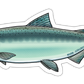 CHINOOK SALMON DECAL (SALTWATER)