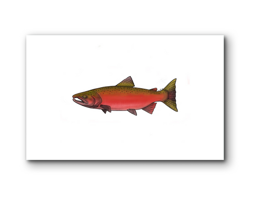 CHINOOK SALMON MATTED PRINT