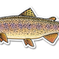 COASTAL CUTTHROAT TROUT DECAL