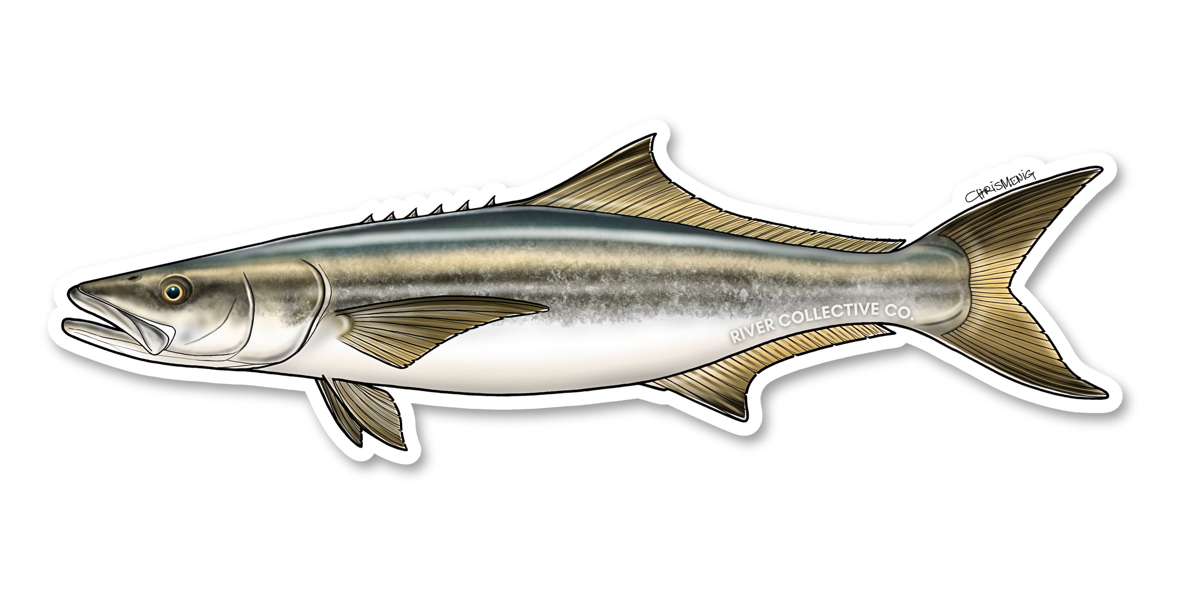 COBIA DECAL