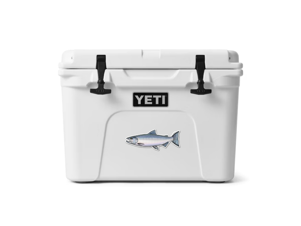 COHO SALMON (CHROME) DECAL