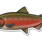 COHO SALMON DECAL (SPAWN)