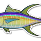 YELLOWFIN TUNA DECAL