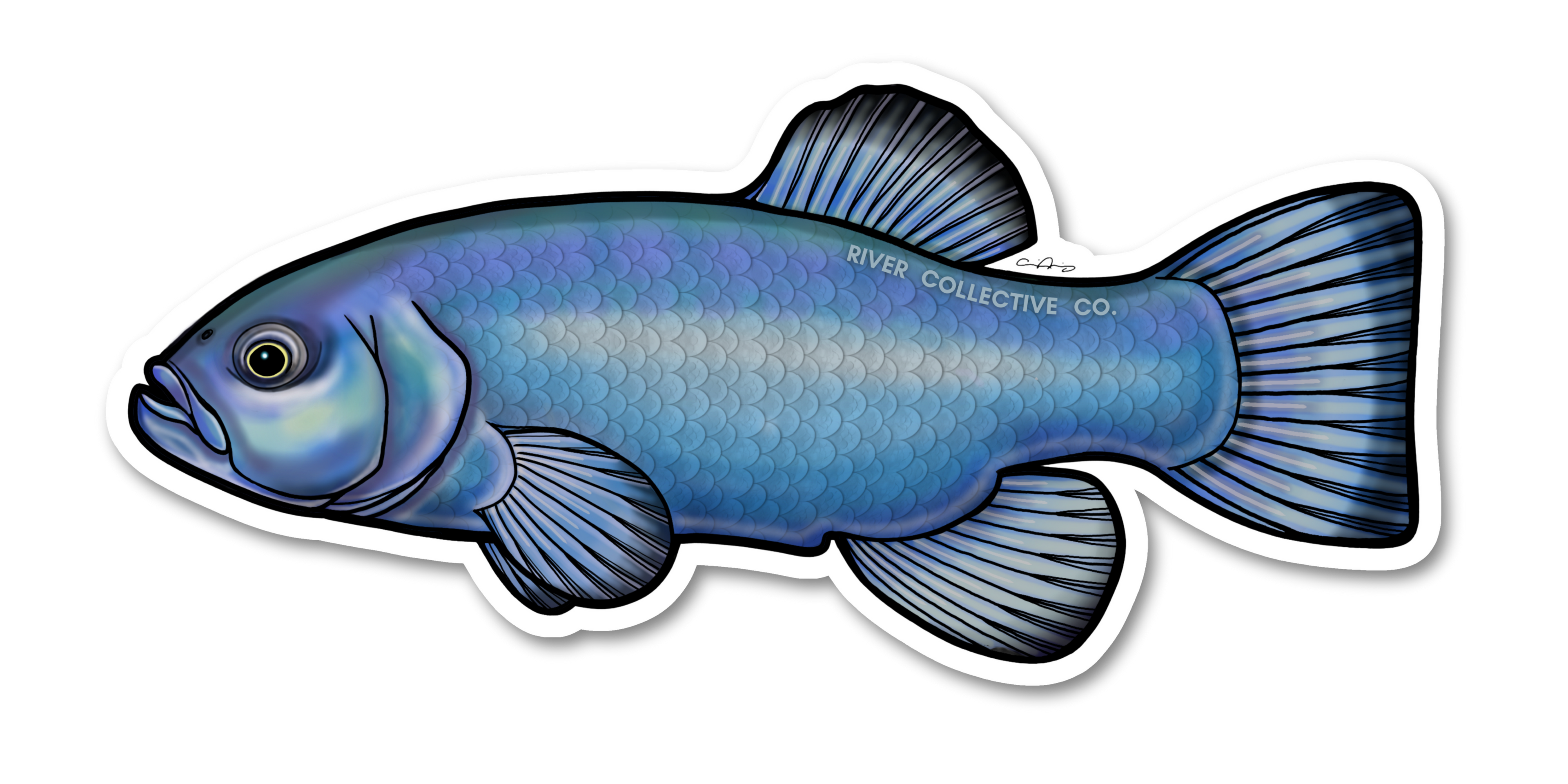 DEVILS HOLE PUPFISH DECAL