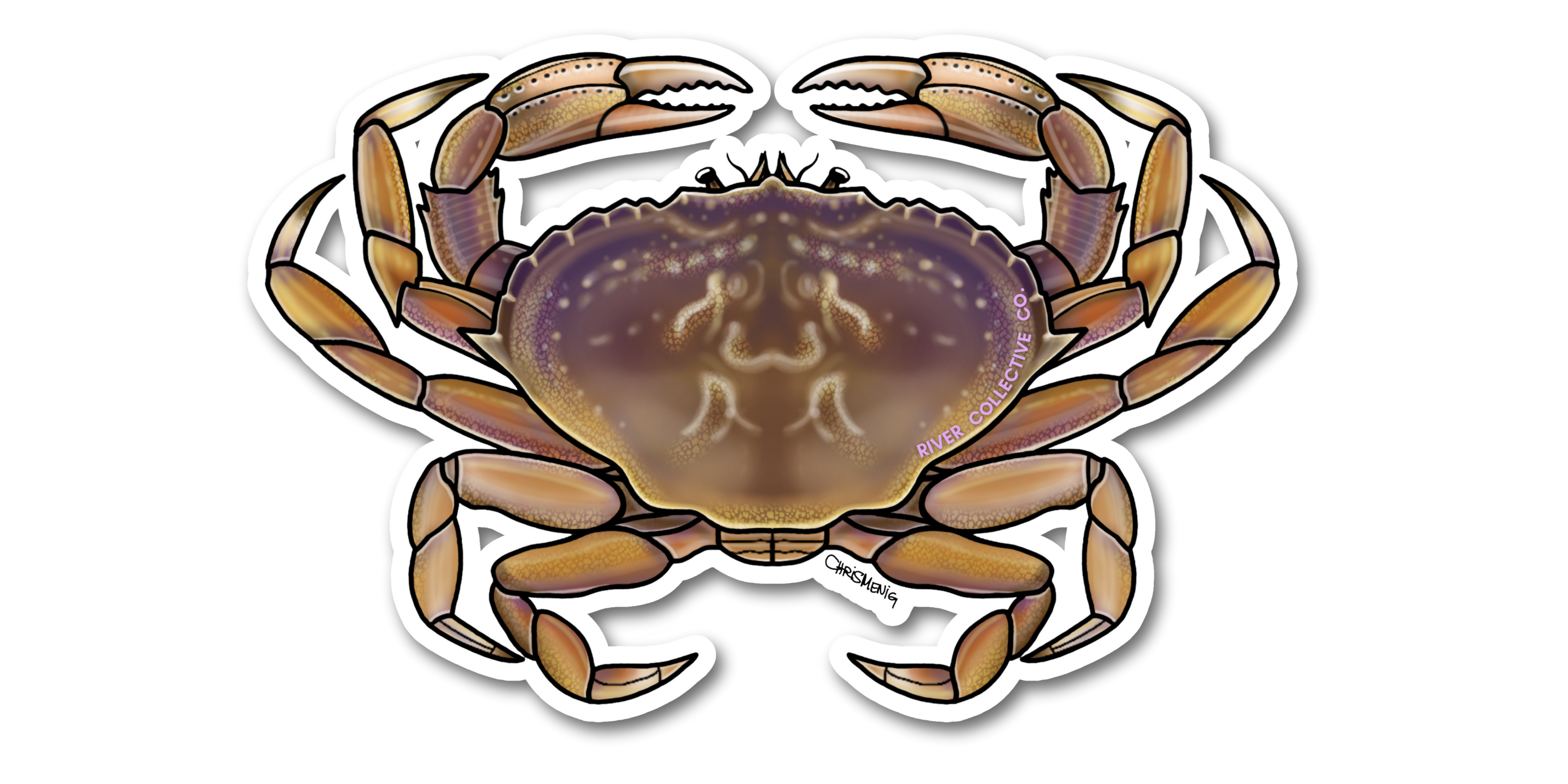 DUNGENESS CRAB DECAL