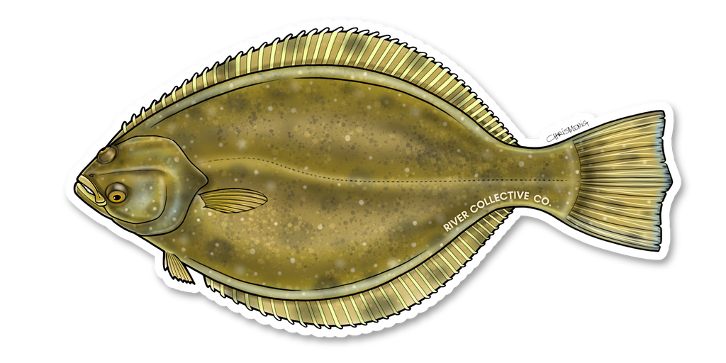 FLOUNDER DECAL