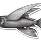 FLYING FISH DECAL