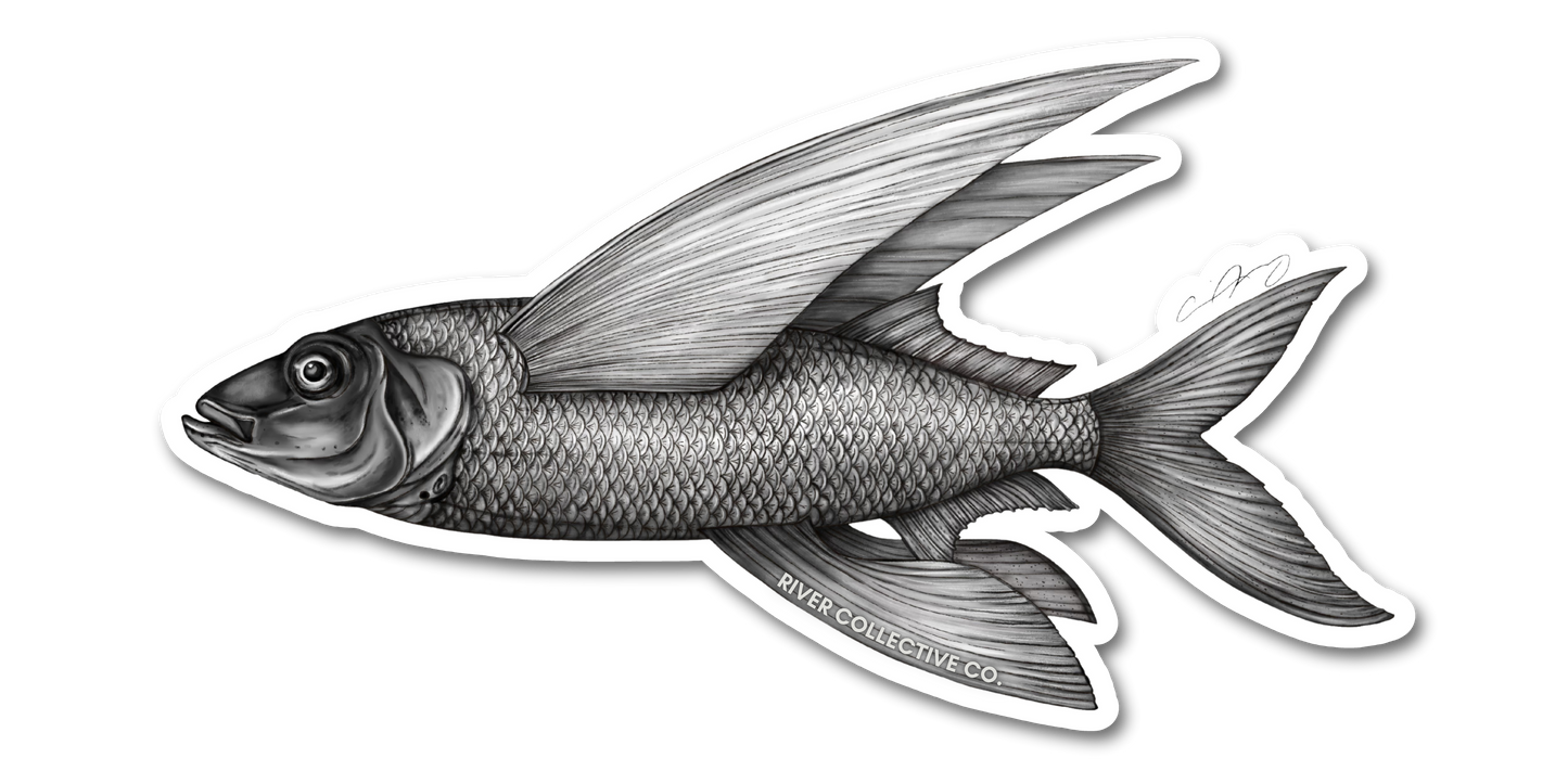 FLYING FISH DECAL