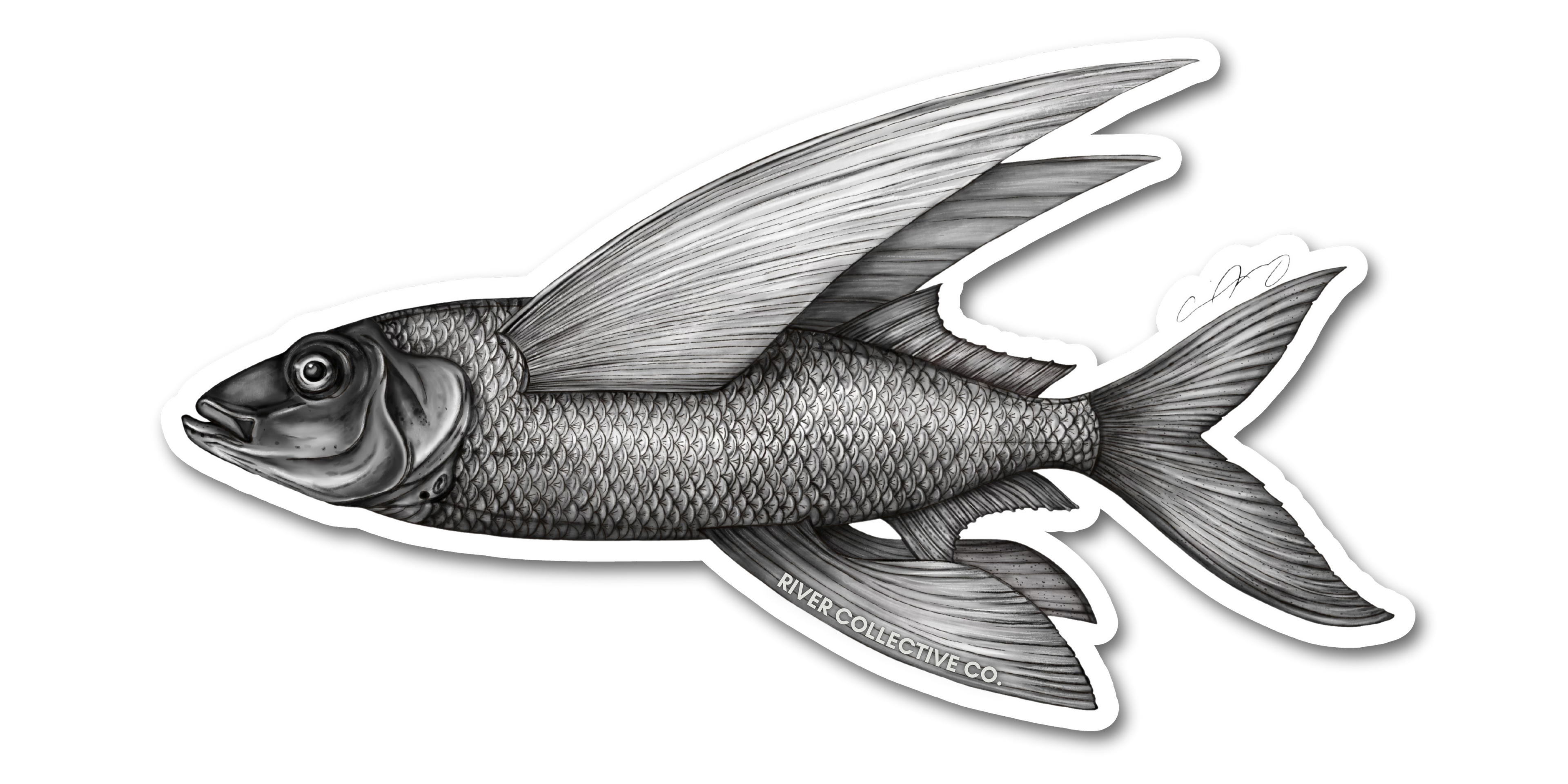 FLYING FISH DECAL