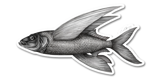 FLYING FISH DECAL