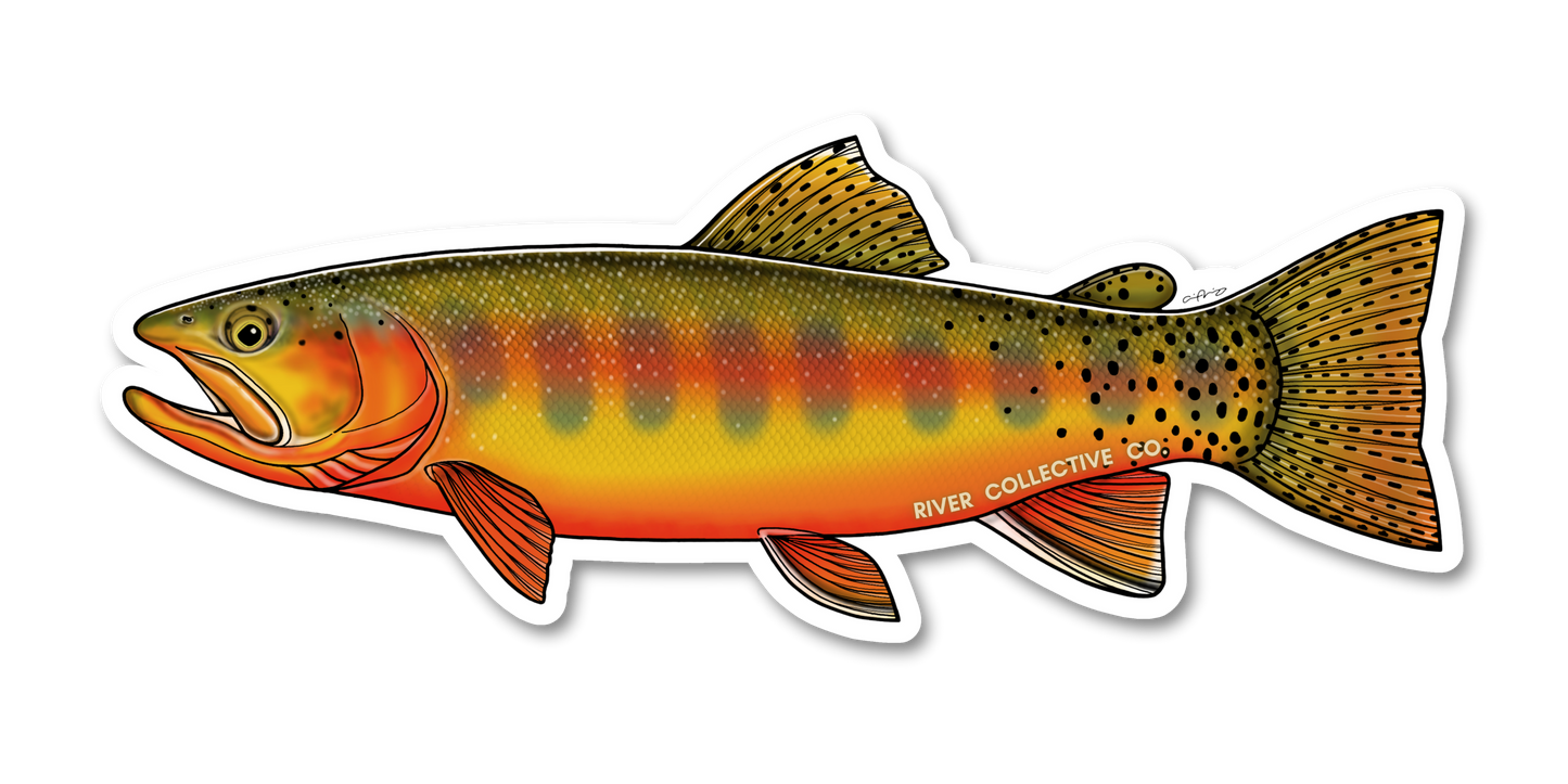 GOLDEN TROUT DECAL