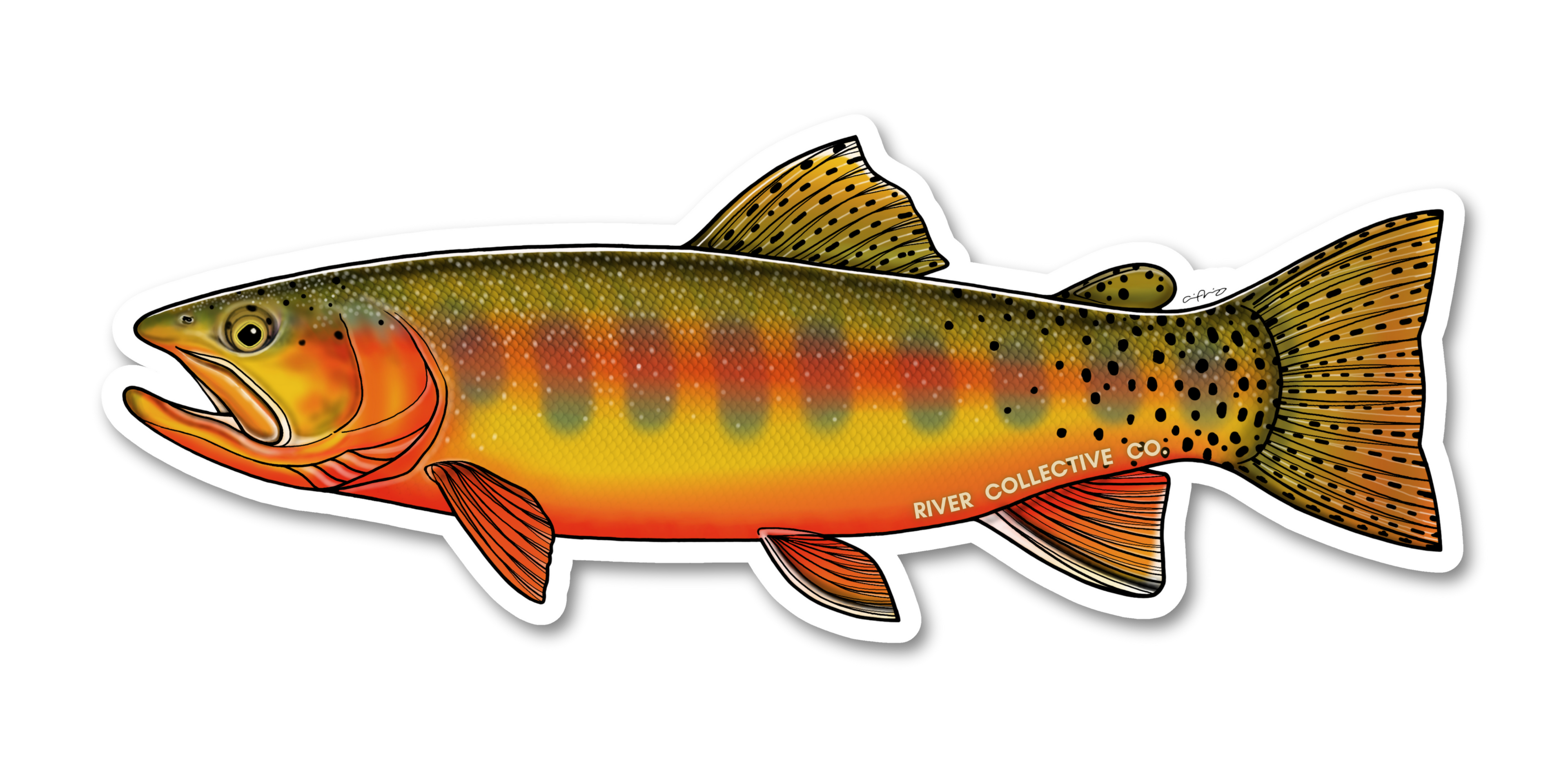 GOLDEN TROUT DECAL