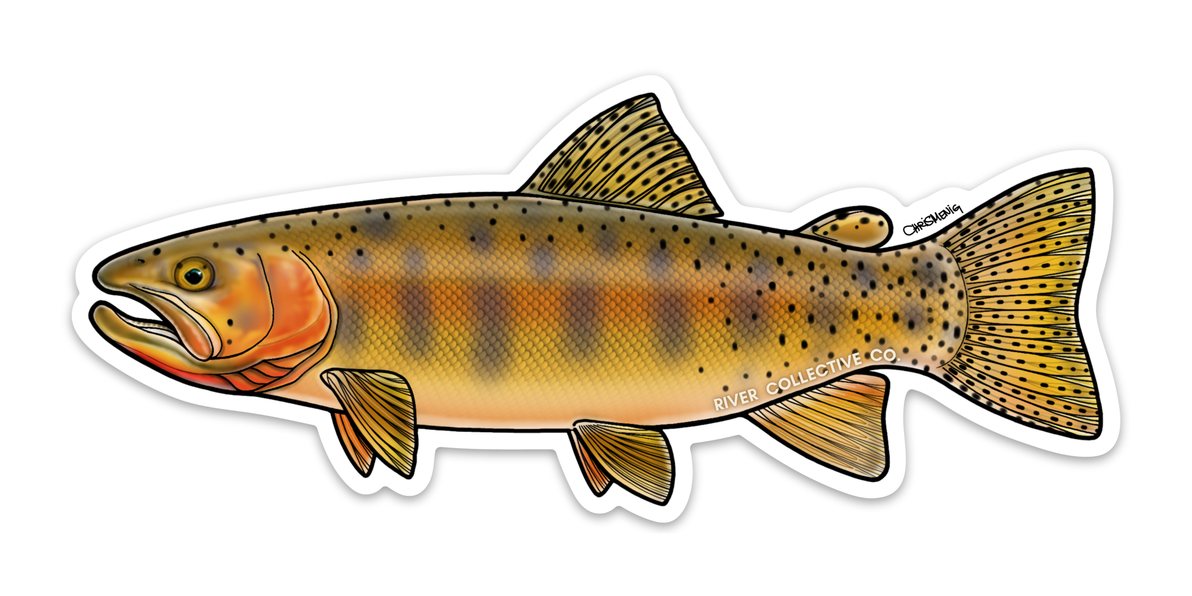 GREENBACK CUTTHROAT TROUT DECAL