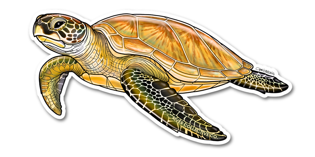 GREEN SEA TURTLE DECAL