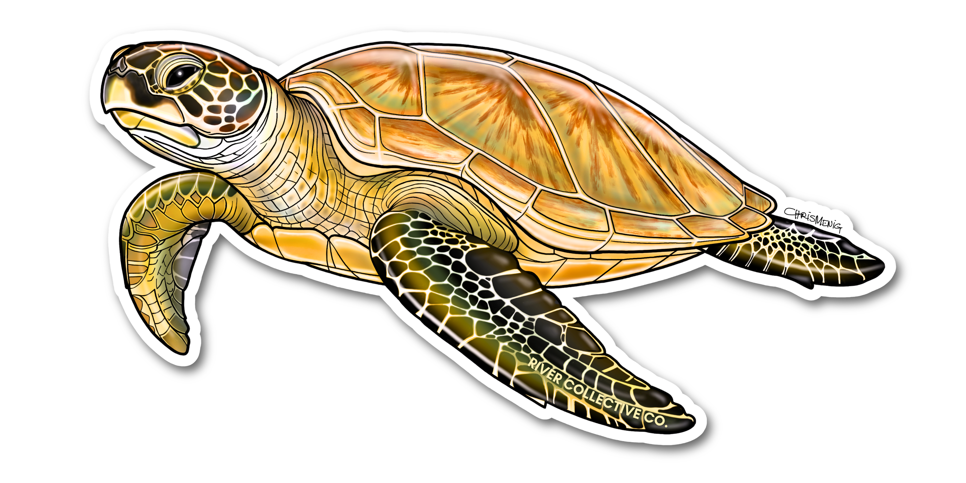 GREEN SEA TURTLE DECAL
