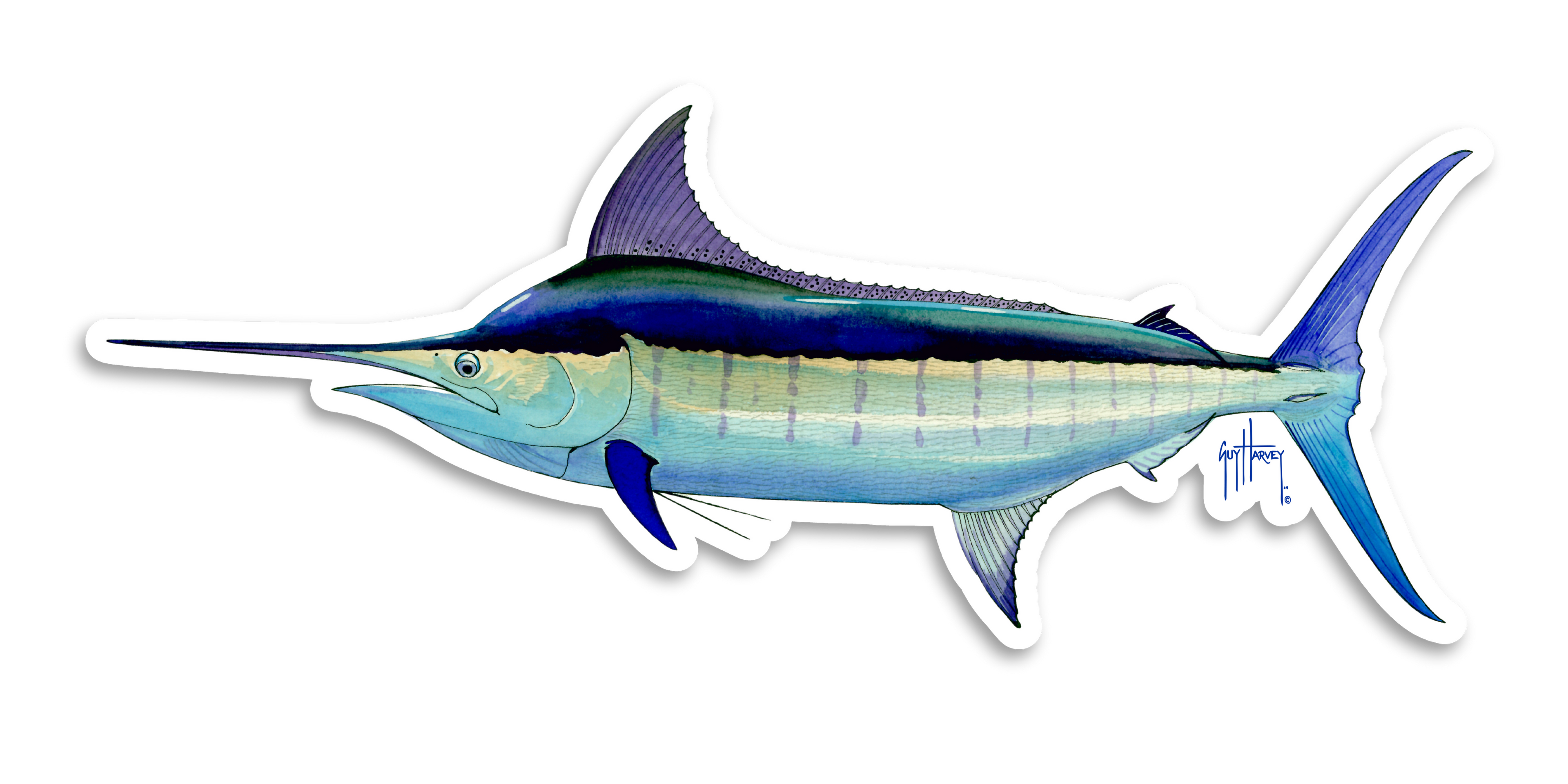 GUY HARVEY - BLUE MARLIN DECAL