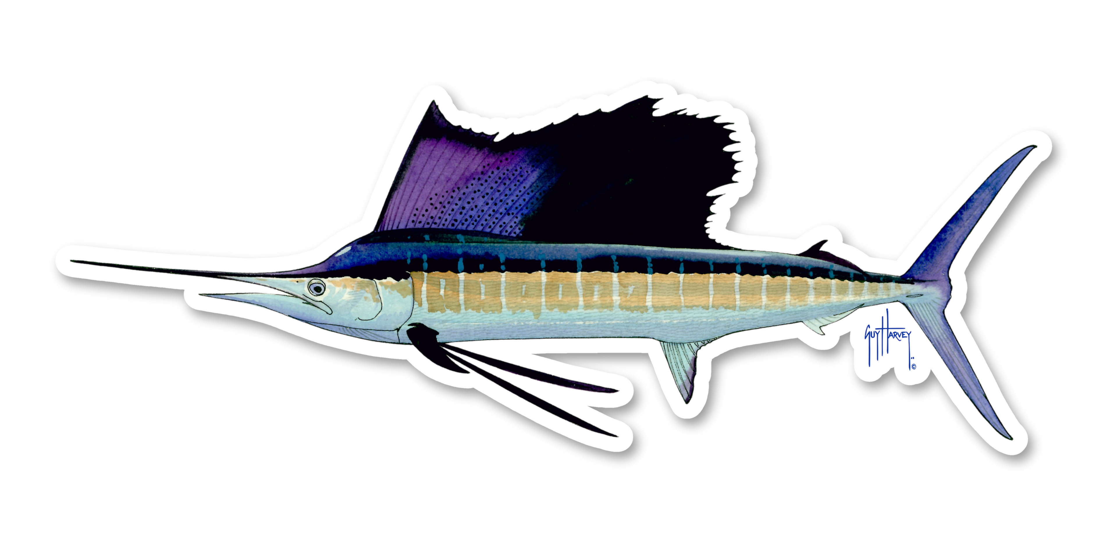 GUY HARVEY - SAILFISH DECAL