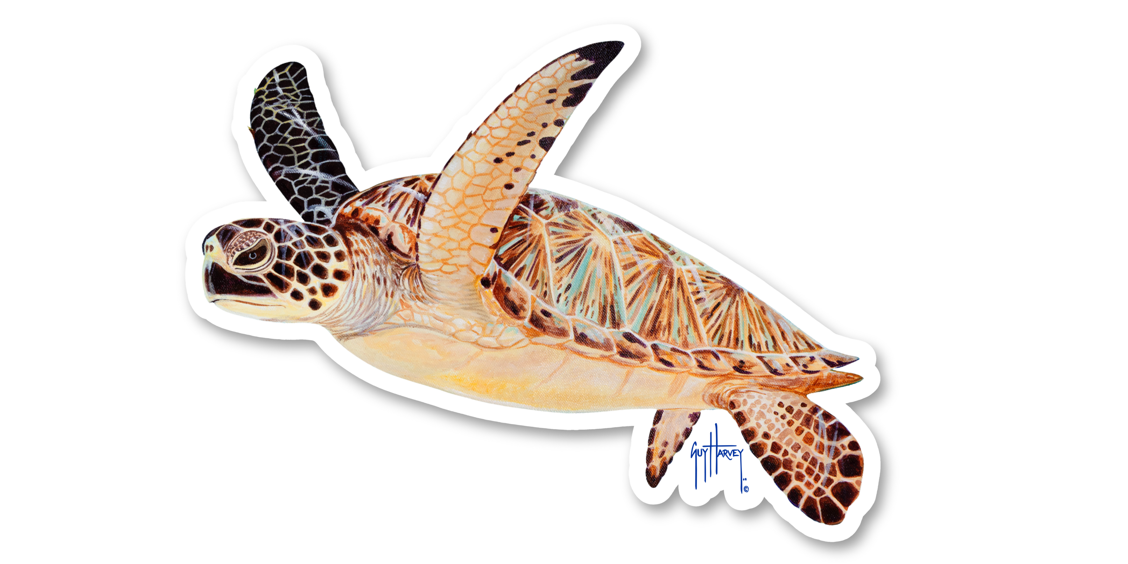 GUY HARVEY - GREEN TURTLE DECAL