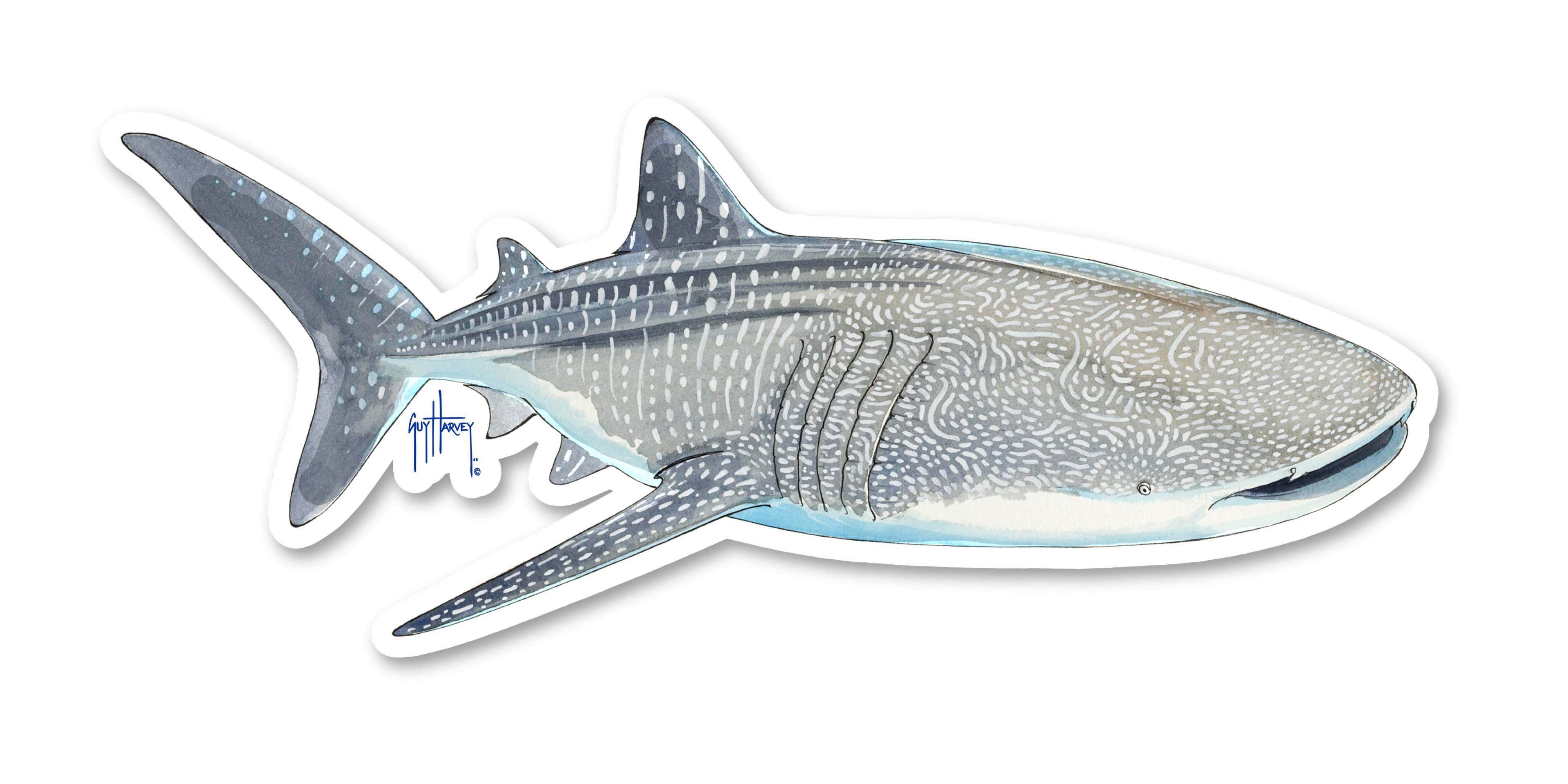 GUY HARVEY - WHALE SHARK DECAL