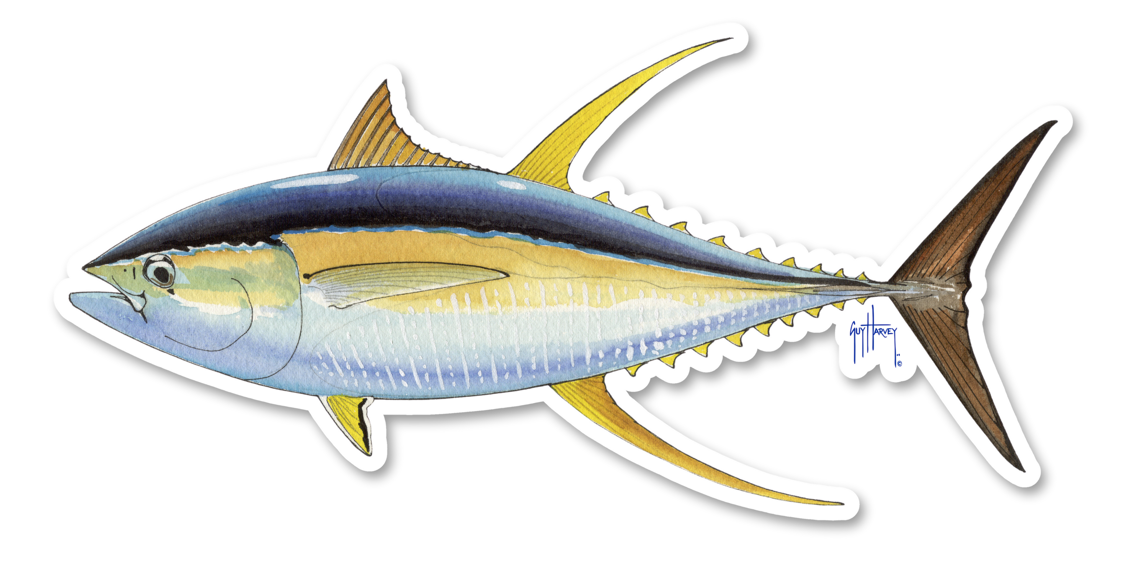 GUY HARVEY - YELLOWFIN TUNA DECAL