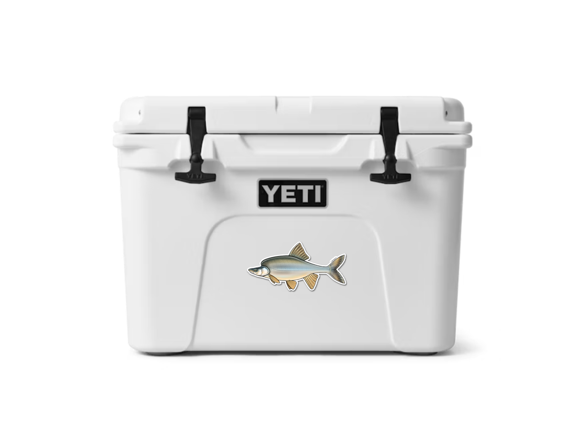 HUMPBACK CHUB DECAL