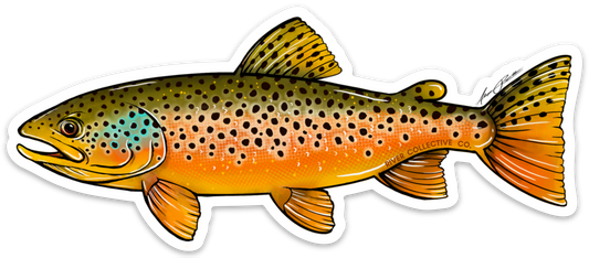 BROWN TROUT DECAL