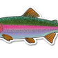 JUVENILE RAINBOW TROUT DECAL