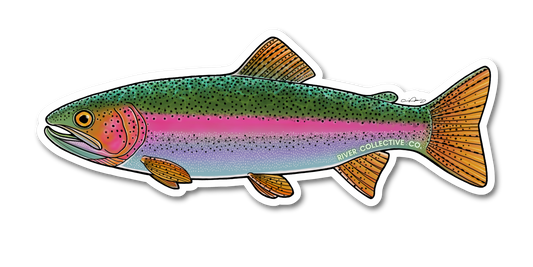 JUVENILE RAINBOW TROUT DECAL