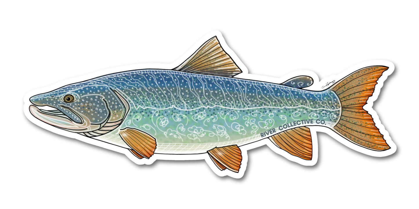 LAKE TROUT DECAL