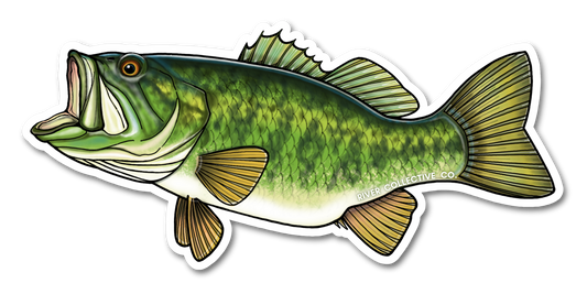 LARGEMOUTH BASS DECAL