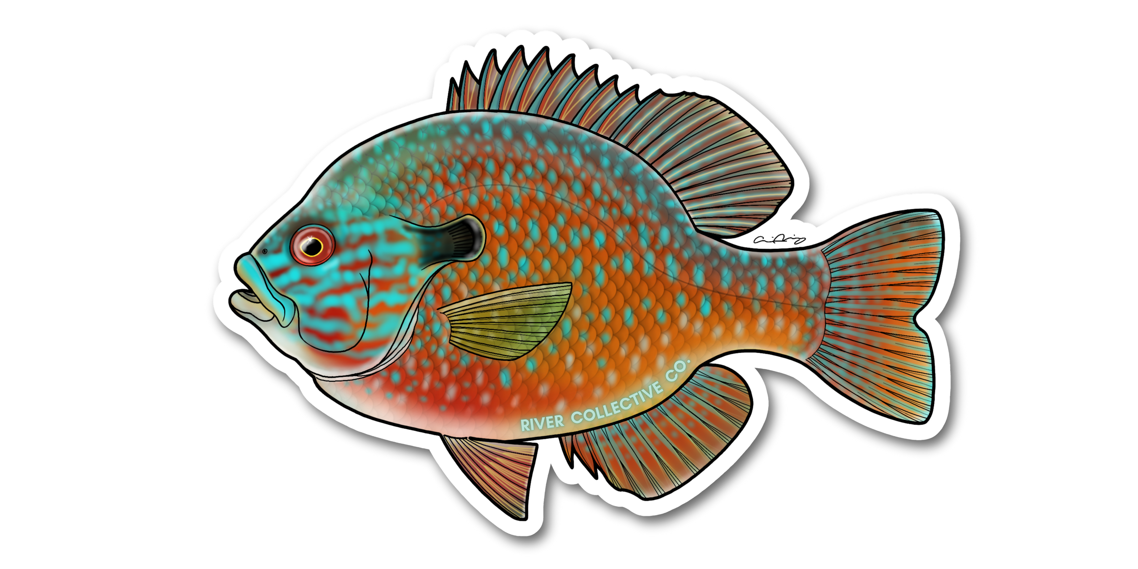 LONGEAR SUNFISH DECAL