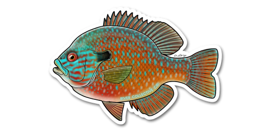 LONGEAR SUNFISH DECAL