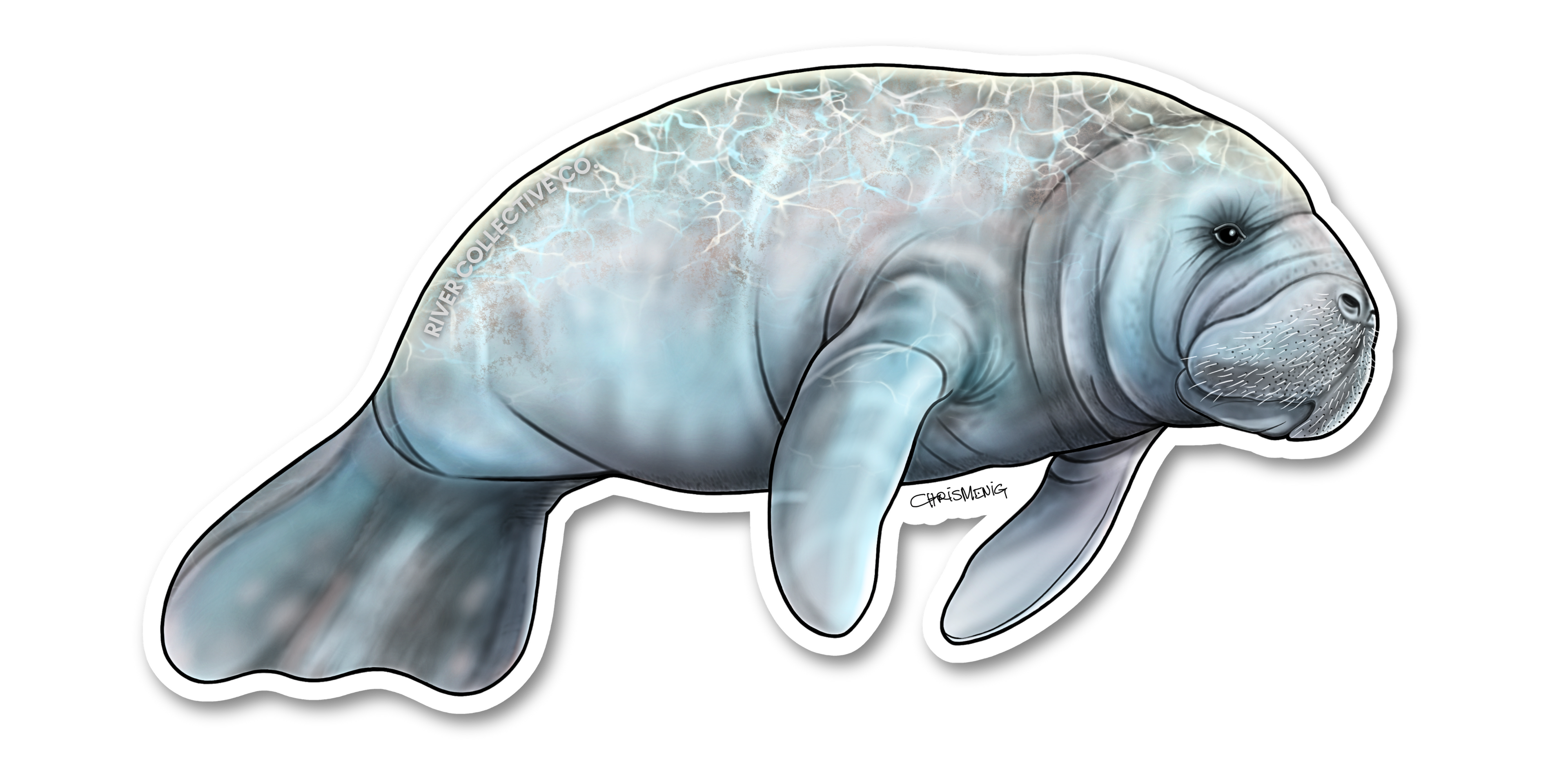 MANATEE DECAL