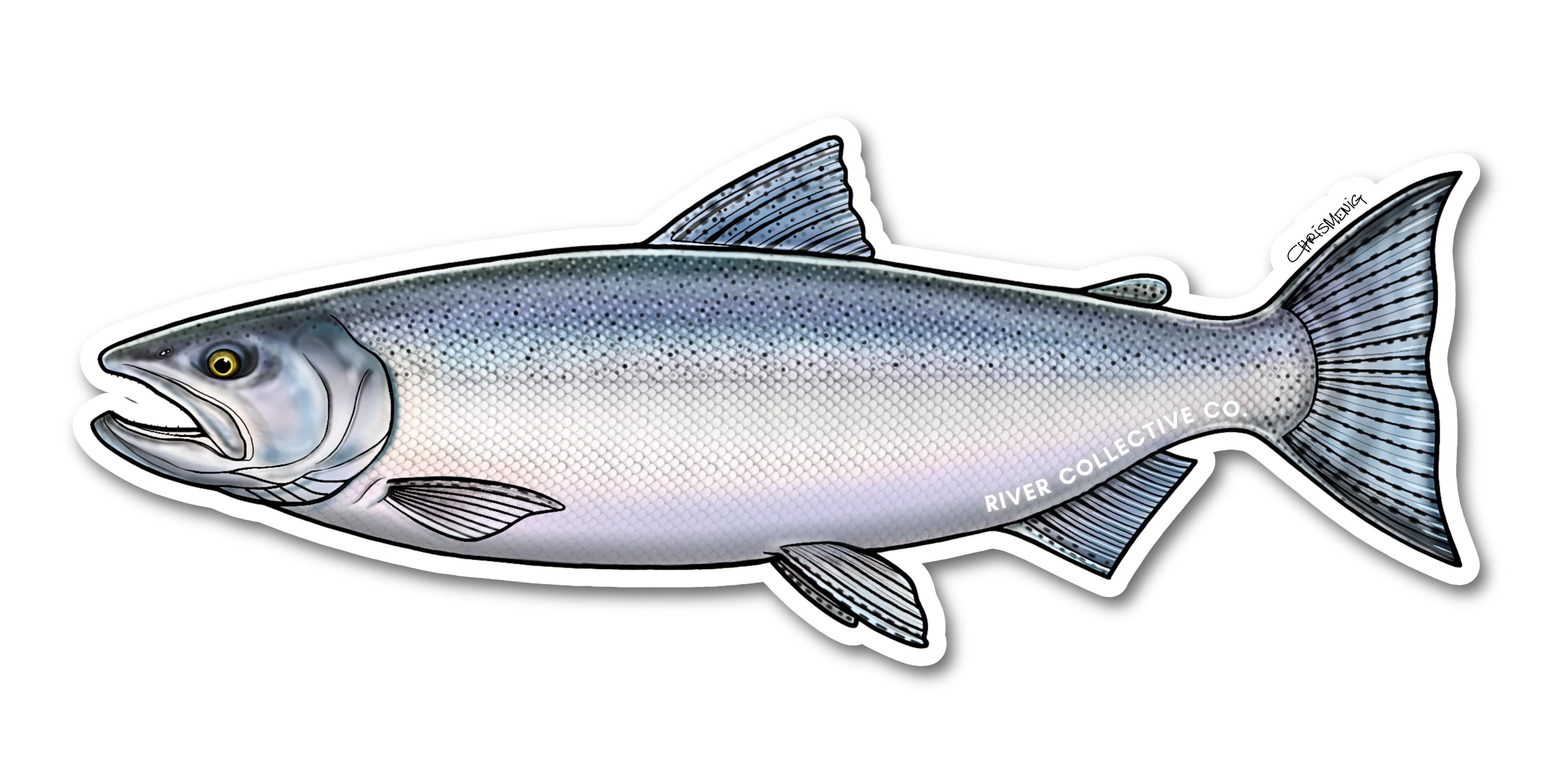 COHO SALMON (CHROME) DECAL