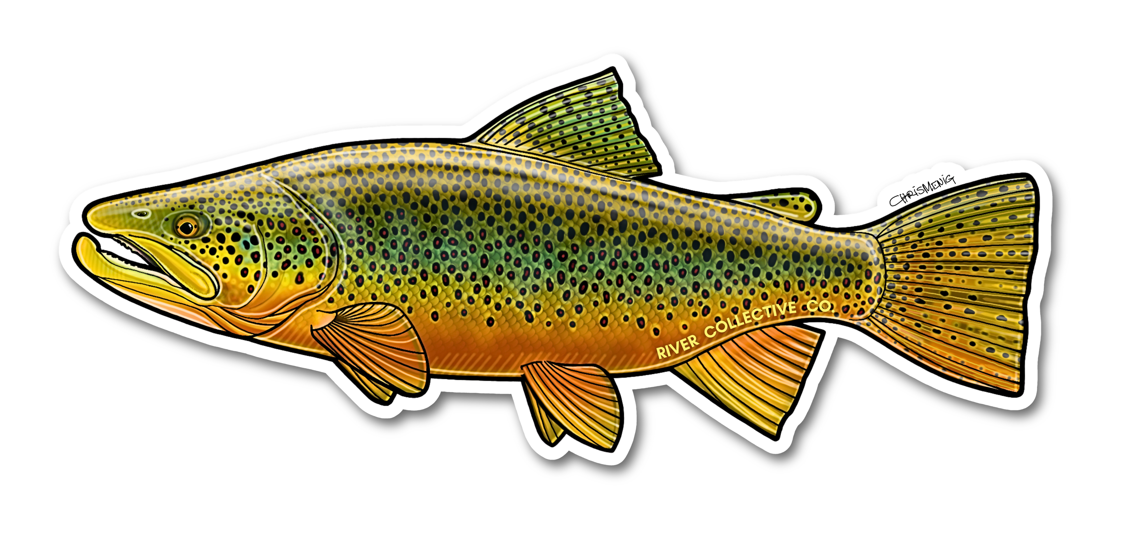BROWN TROUT DECAL
