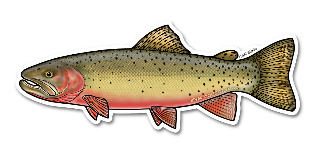 CUTTHROAT TROUT DECAL