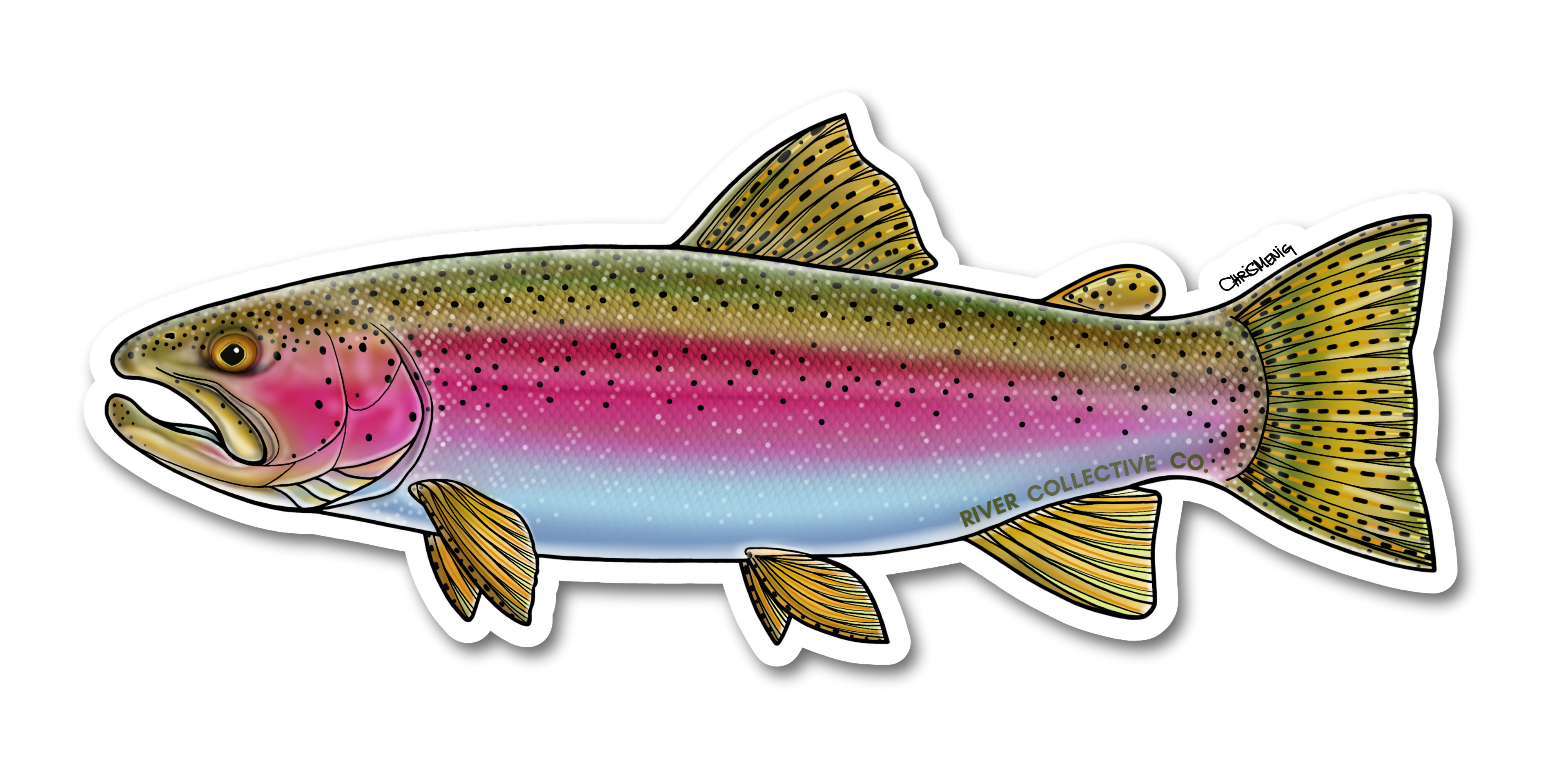 RAINBOW TROUT DECAL