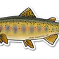 JUVENILE CUTTHROAT TROUT DECAL