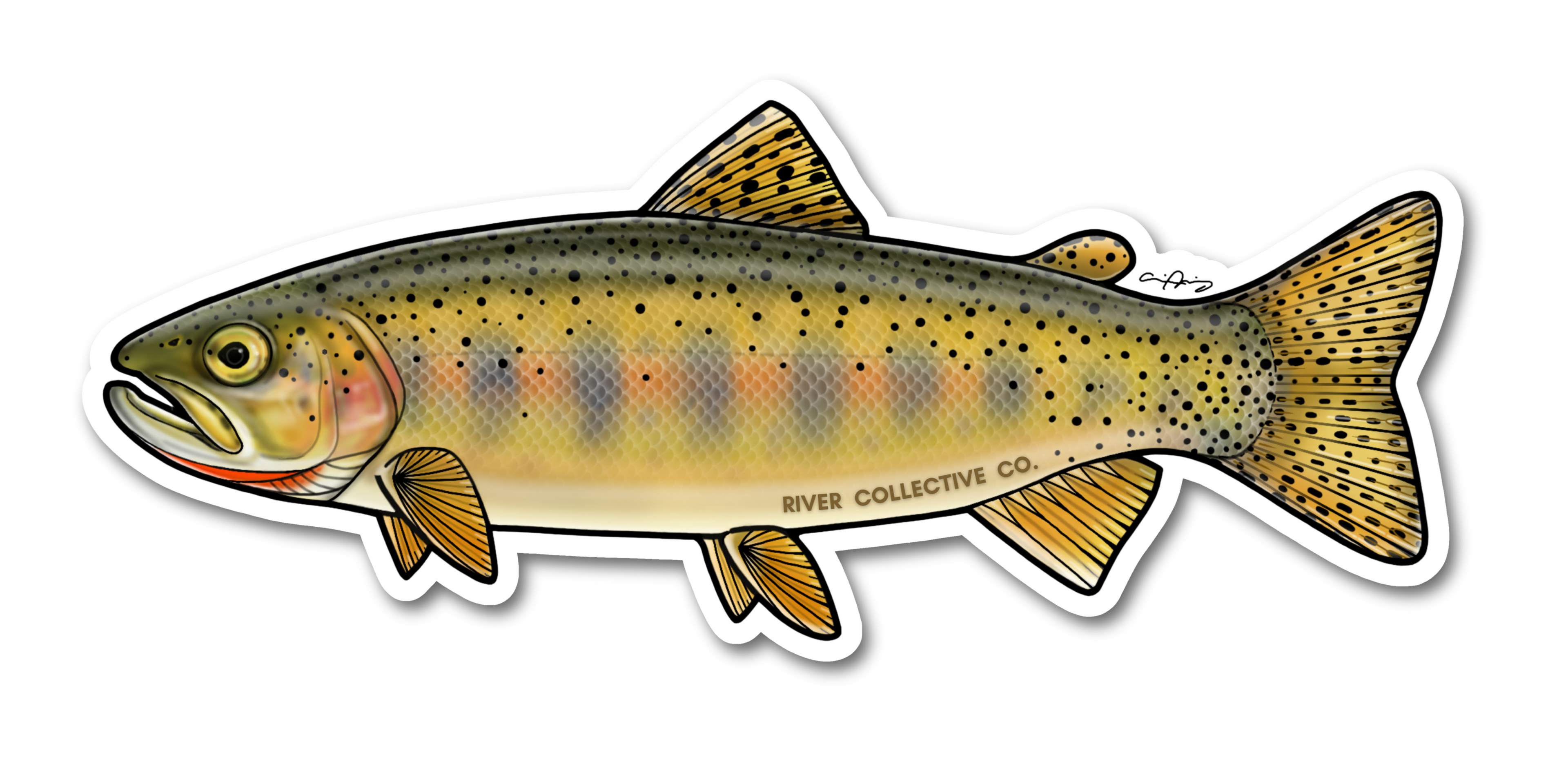 JUVENILE CUTTHROAT TROUT DECAL
