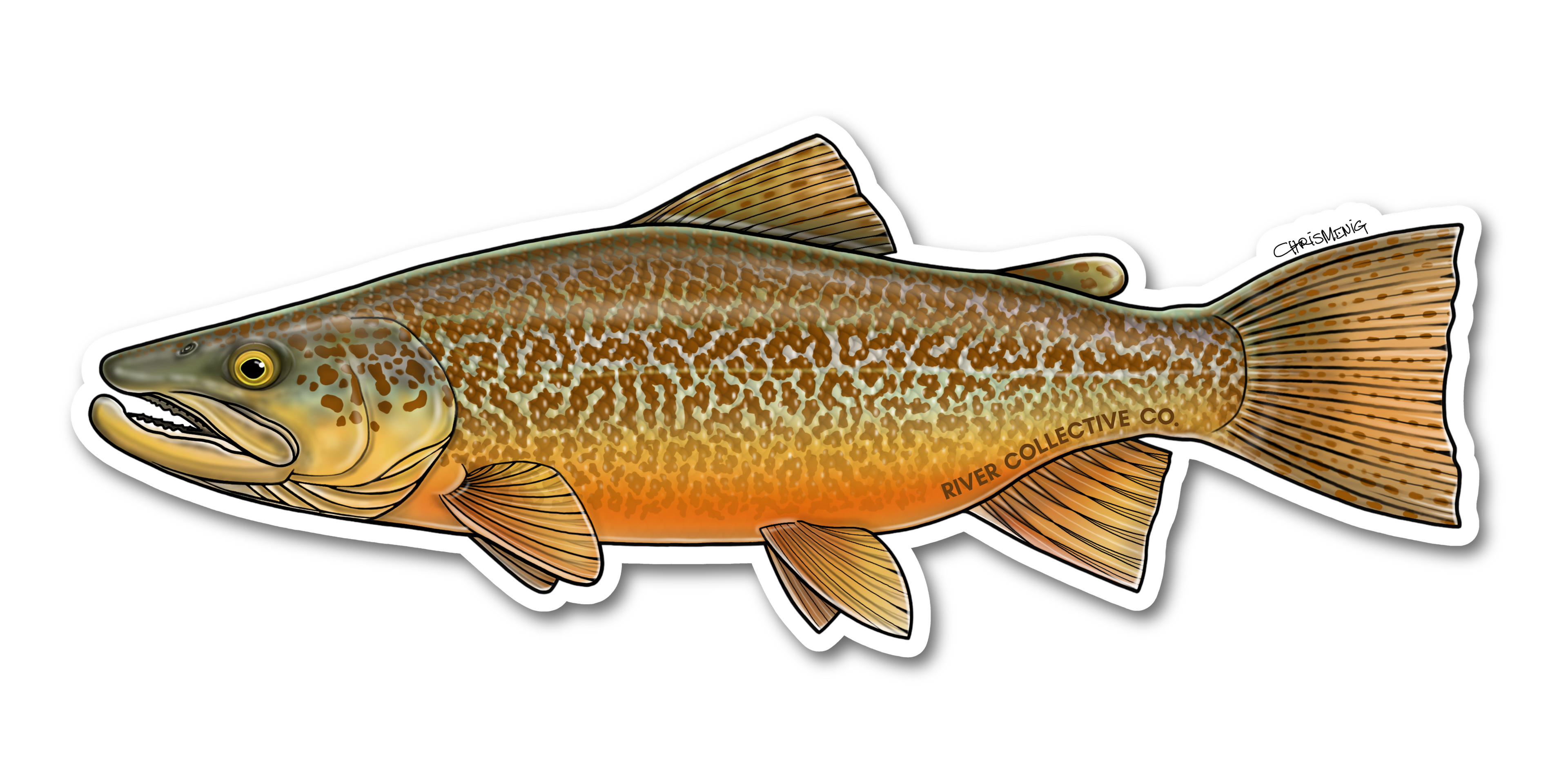 TIGER TROUT DECAL