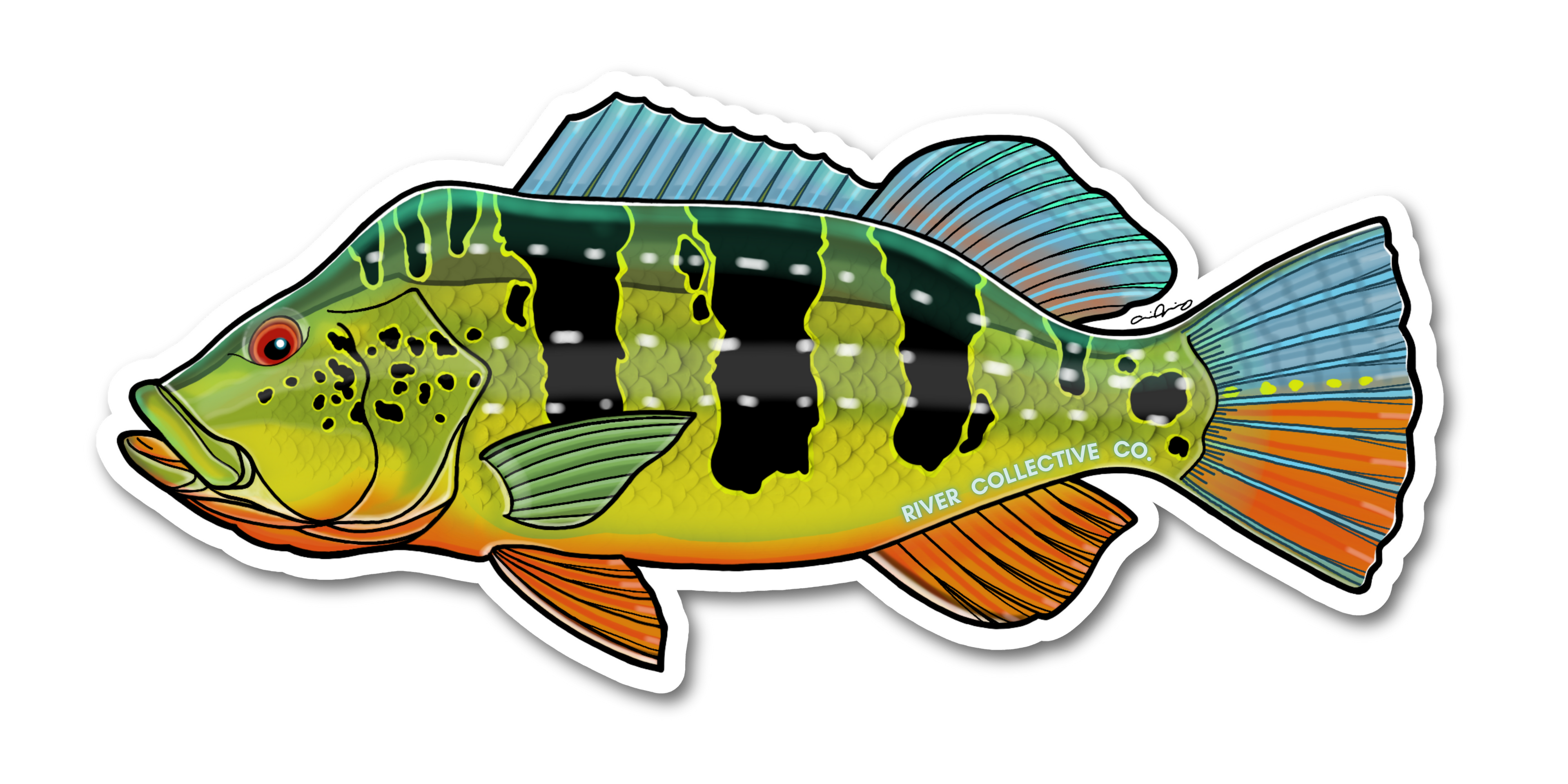 PEACOCK BASS DECAL