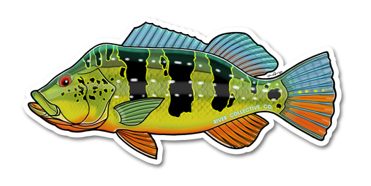PEACOCK BASS DECAL