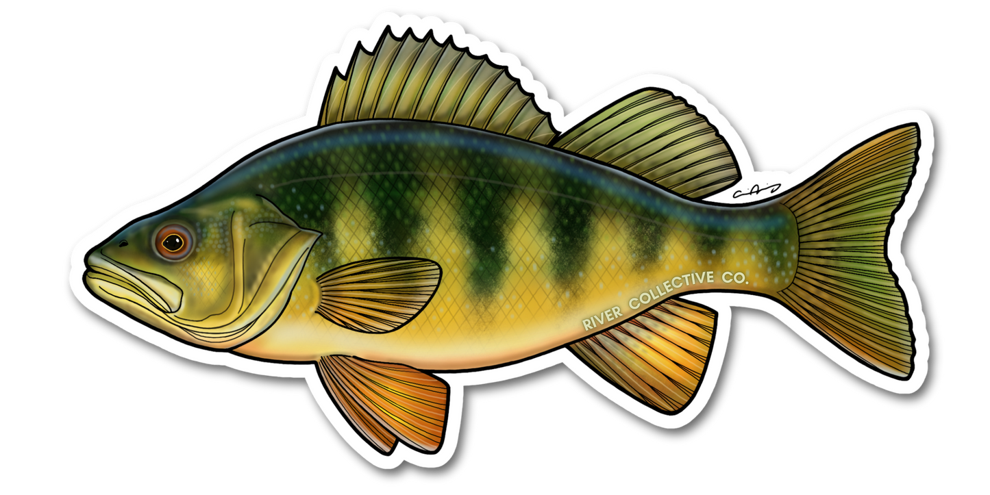 PERCH DECAL