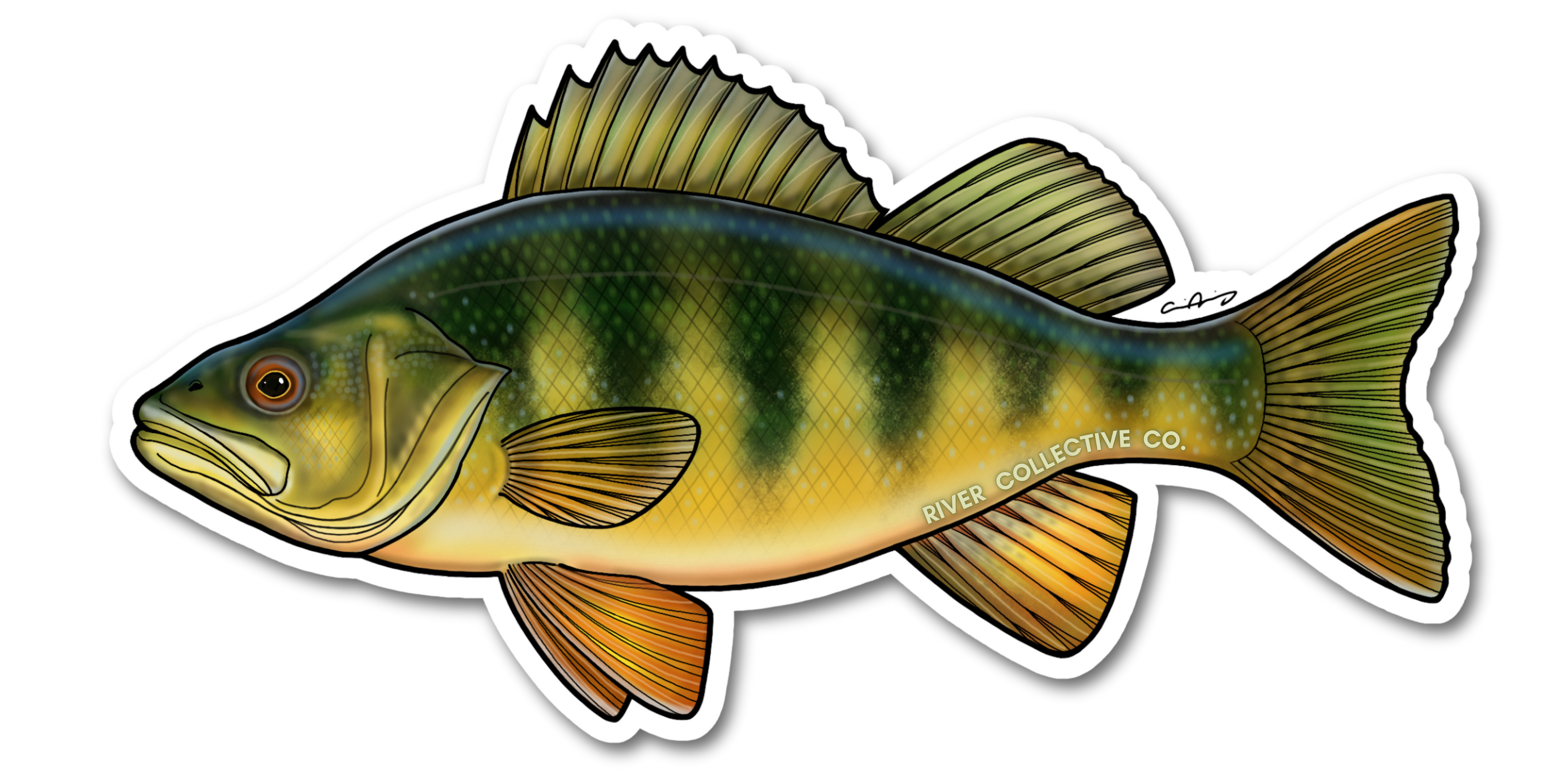 PERCH DECAL
