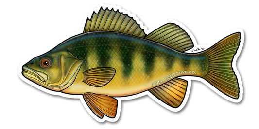 PERCH DECAL
